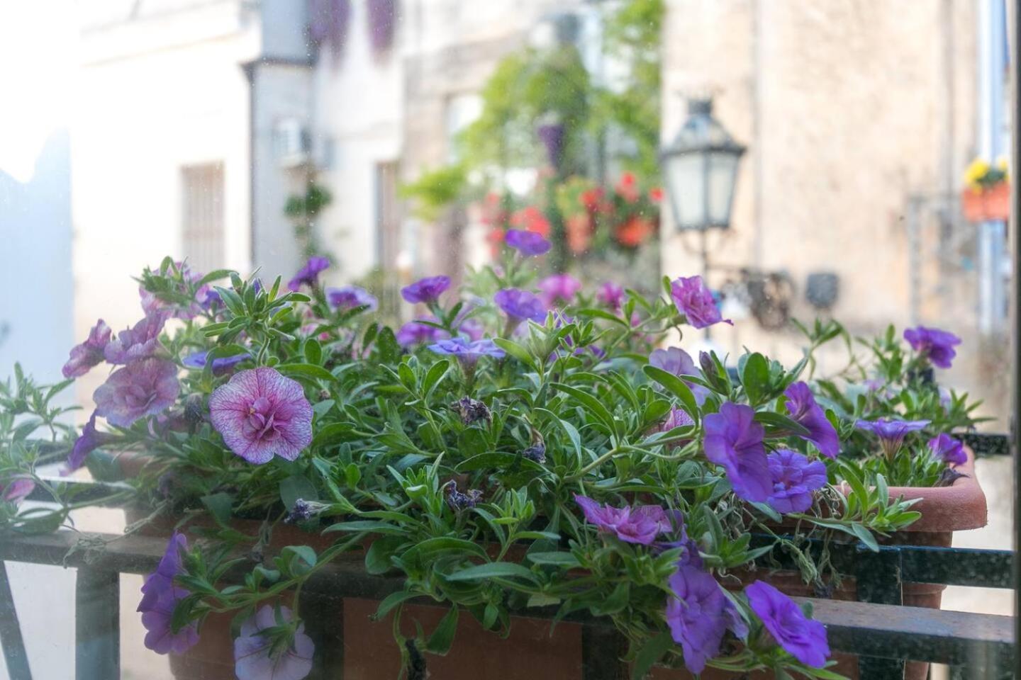 Caminanti Bed & Breakfast Lecce Luaran gambar